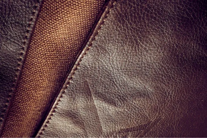 Characteristics and Properties of Bovine Leather
