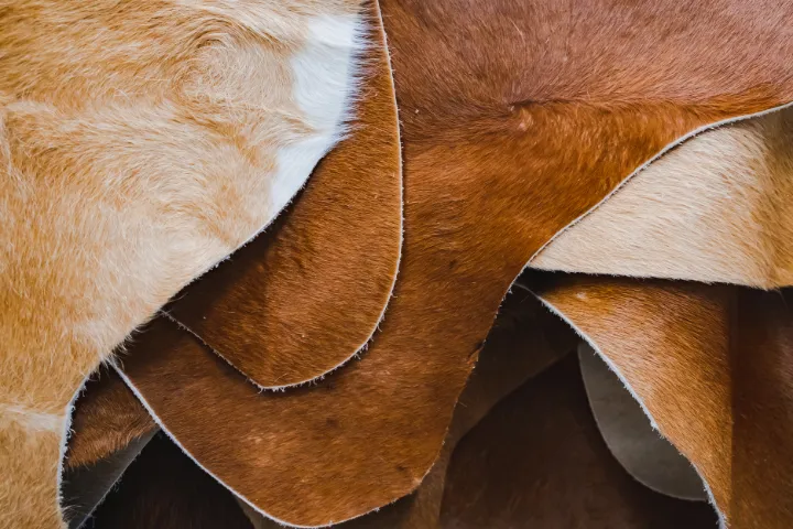 The Origins and History of Cowhide Leather