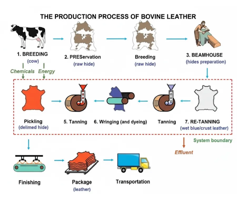 The Production Process of Bovine Leather
