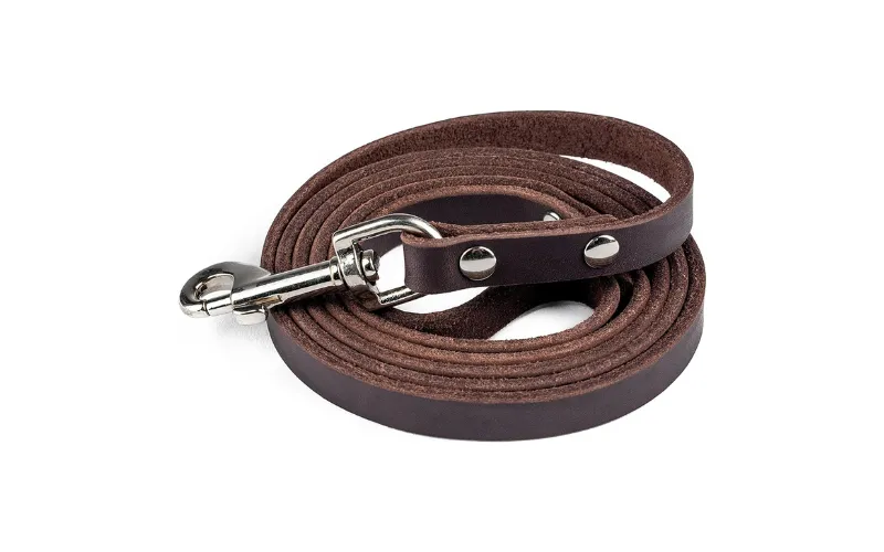 leather dog leashes