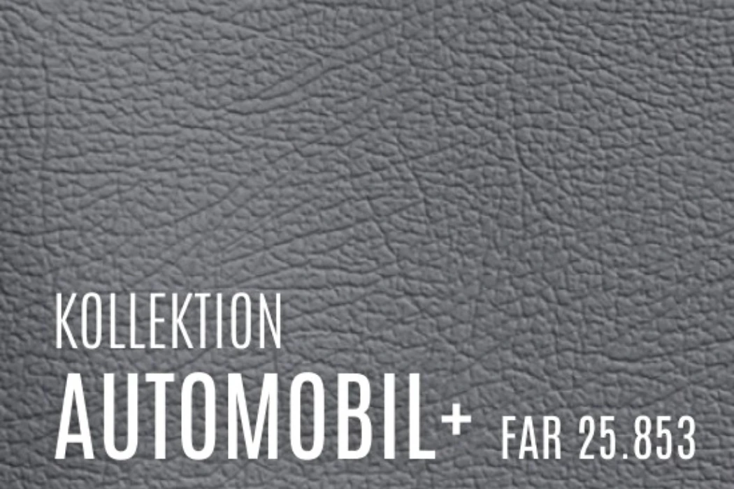 what are the core requirements of far 25.853 for leather